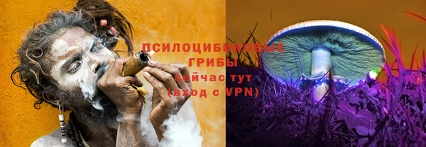 jwh Алзамай