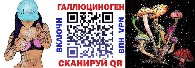 маркетплейс официальный сайт  где купить наркотик  Кедровый  Галлюциногенные грибы Psilocybe 